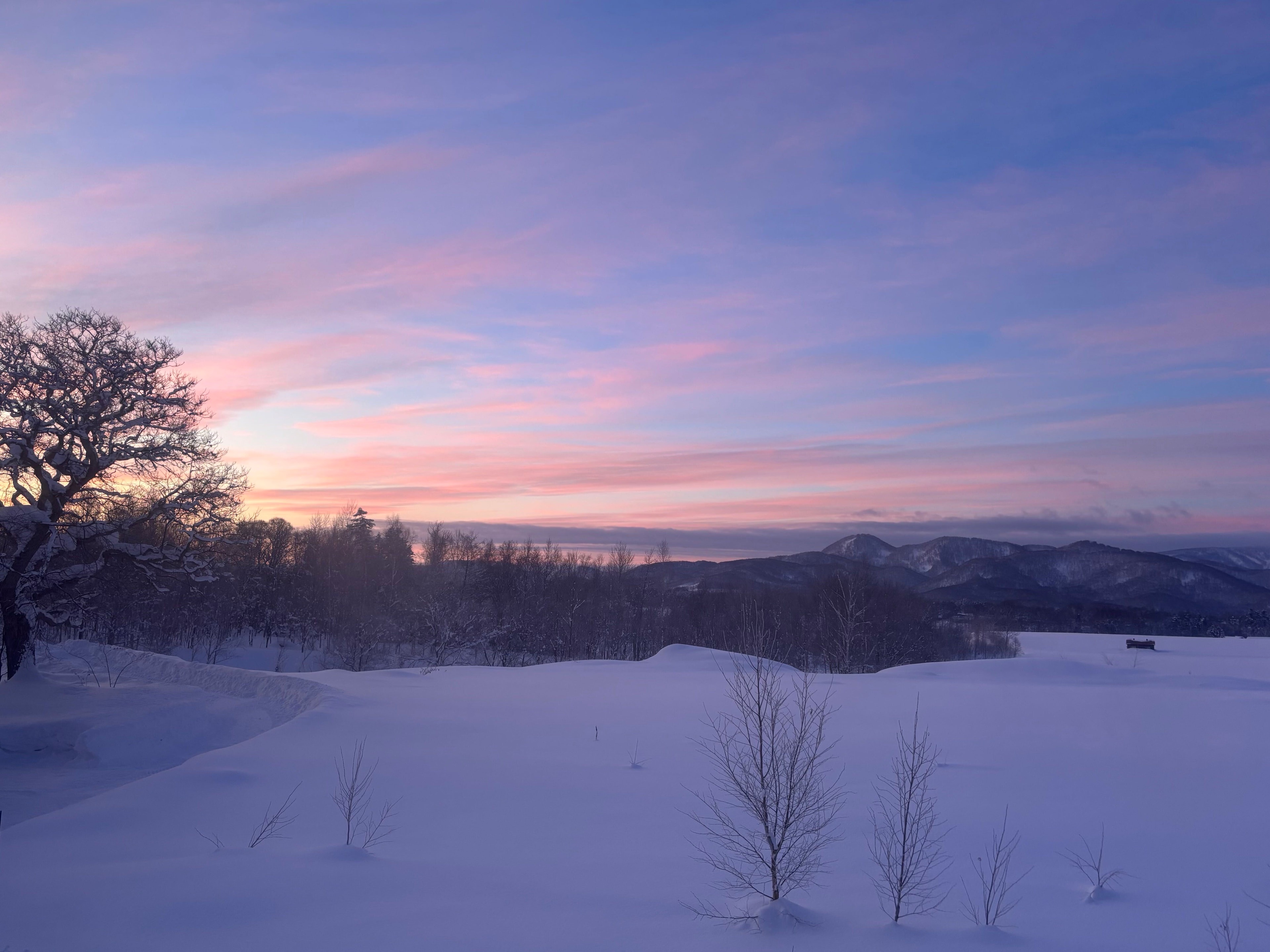 夕暮れの雪原